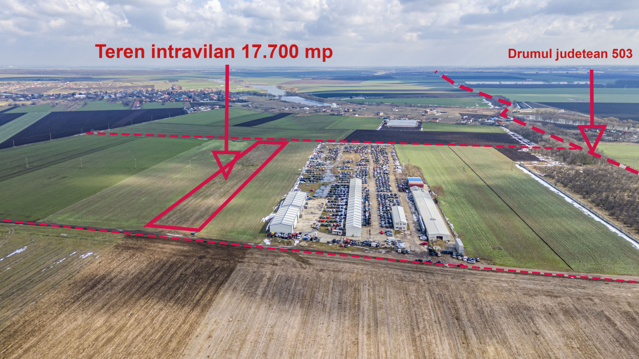 Teren intravilan Belciugatele*300 m de DN*Linie de tensiune medie*Plata in rate