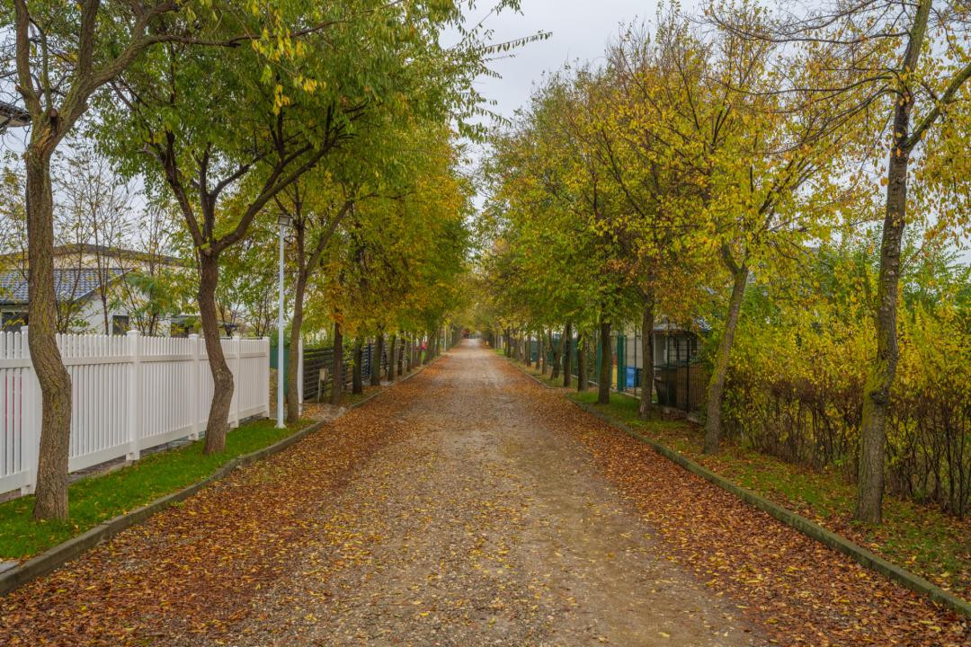 Teren intravilan de vânzare | Cartier rezidențial deosebit | Afumați