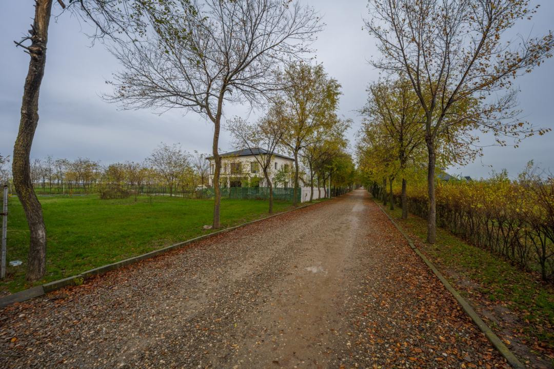 Teren intravilan de vânzare | Cartier rezidențial deosebit | Afumați