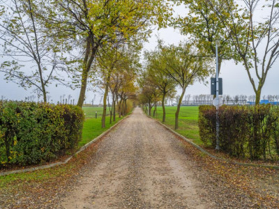 Teren intravilan de vânzare | Cartier rezidențial deosebit | Afumați