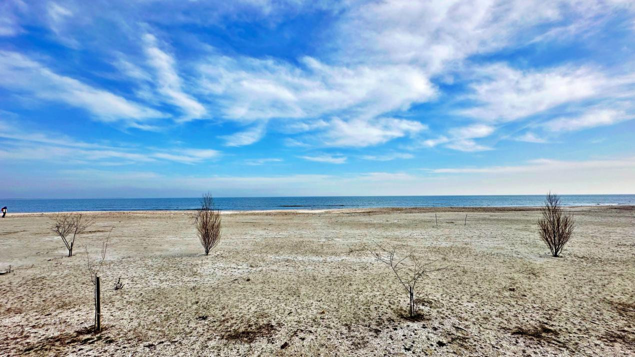 MAMAIA NORD - STUDIO - SIGNATURE PROMENADA - 51.3 MPT